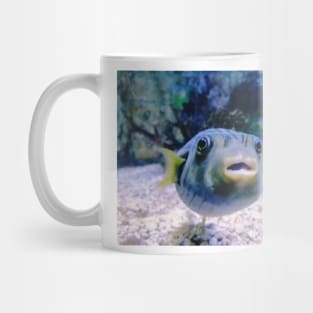 puffer fish, aquarium, puffer fish saying, guinea fowl puffer fish, blackspot puffer fish, dwarf puffer fish, pea puffer fish, aquaristics, giant puffer fish, aquarist, puffer fish owner, pumped up fish, fish owner, puffer, puffer fish lover Mug